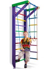 Дитячий спортивний куточок SportBaby Карусель 2-220